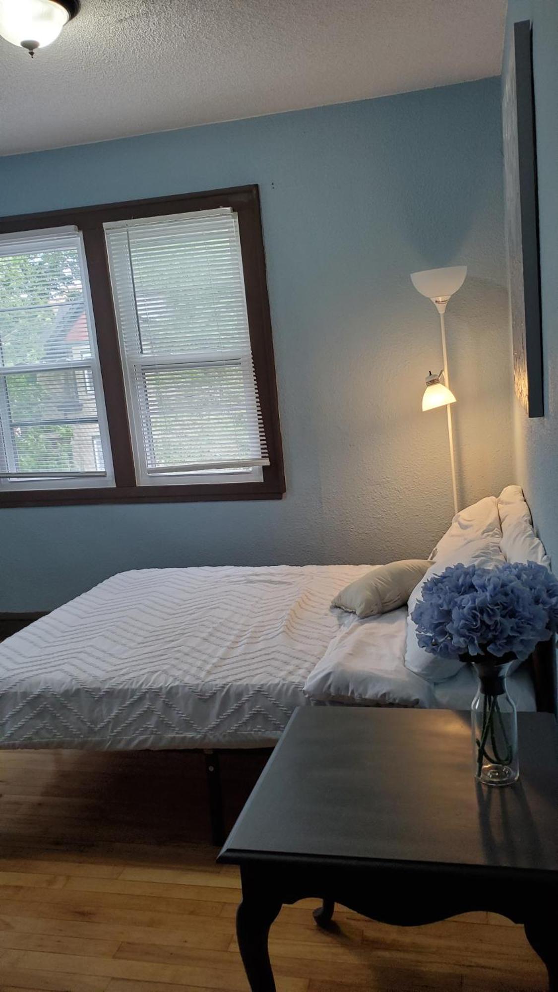 Ana Maria Del Azul * Minneapolis